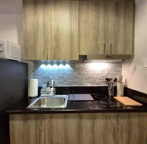 Apartment 1br Unit At Coast Residences Manila